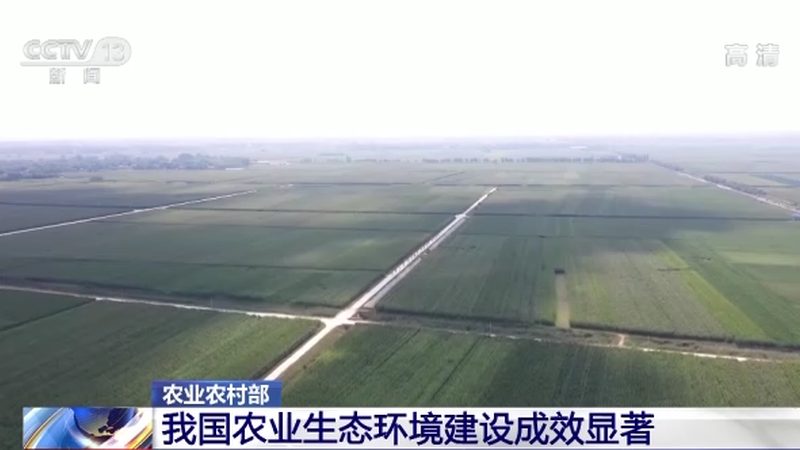 城市農(nóng)業(yè)：如何打造高效生態(tài)種植模式**