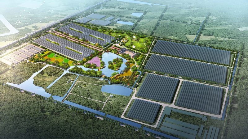 農(nóng)資批發(fā)商合作流程：從選品到共贏的關(guān)鍵步驟**