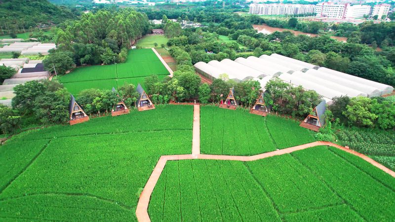 智慧農(nóng)業(yè)無(wú)人機(jī)植保：未來(lái)農(nóng)業(yè)的空中力量